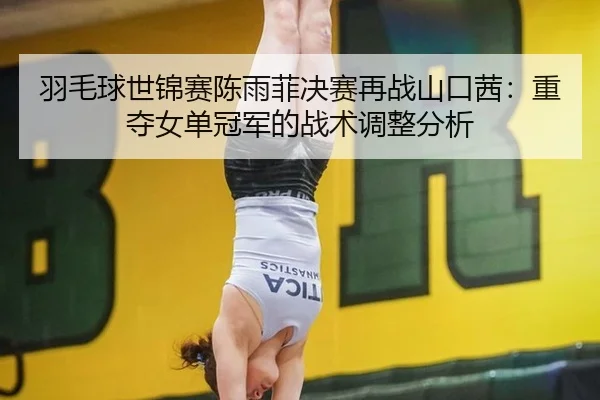 羽毛球世锦赛陈雨菲决赛再战山口茜：重夺女单冠军的战术调整分析